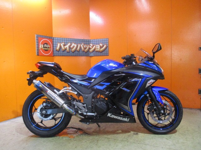 横から見てもこの通り状態状態グッド！やはりこの２０１５年のＳＥカラーのカッコよさは一味違いますよね！